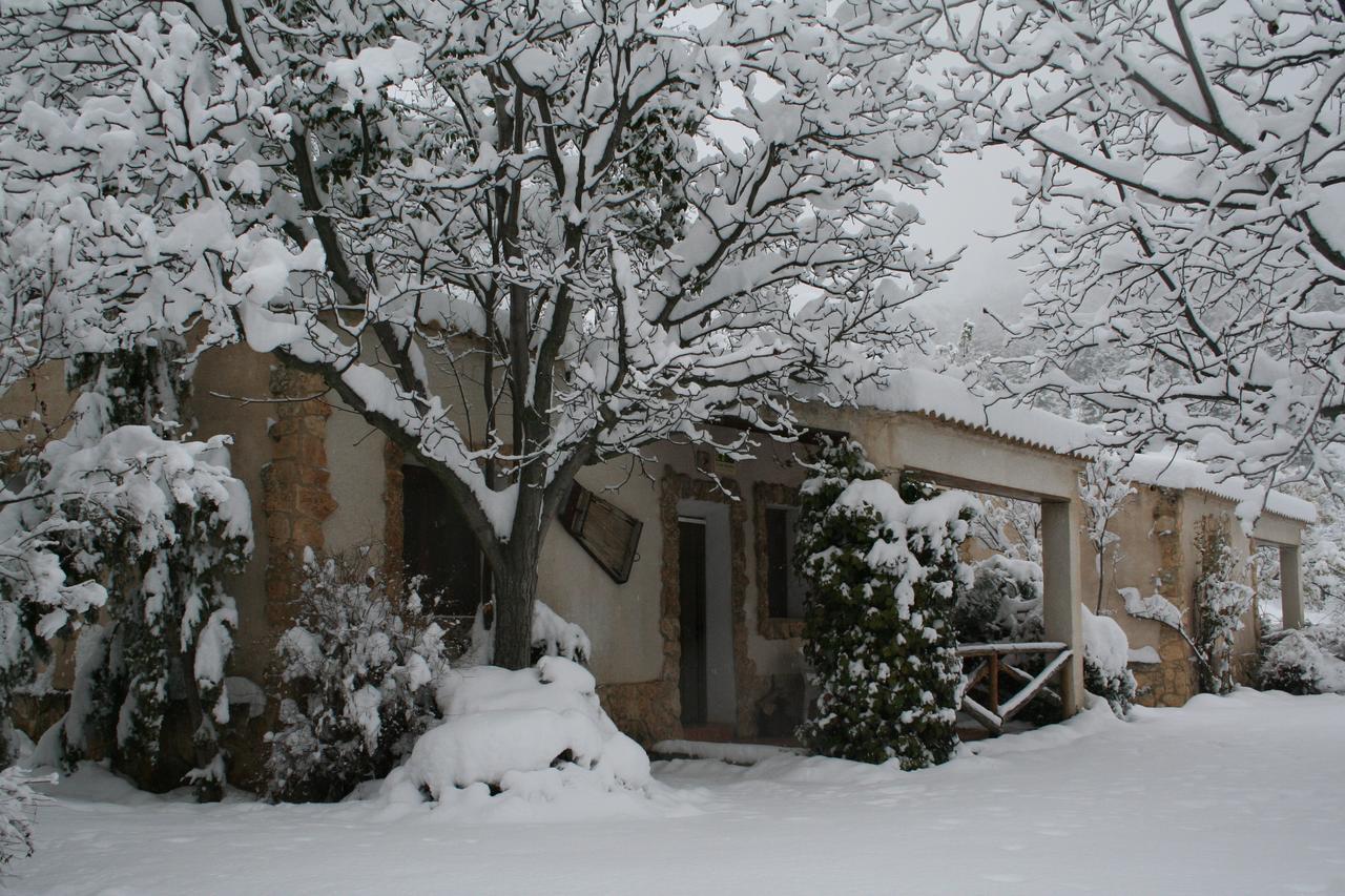 Casas Rurales Los Enebros Нерпіо Екстер'єр фото